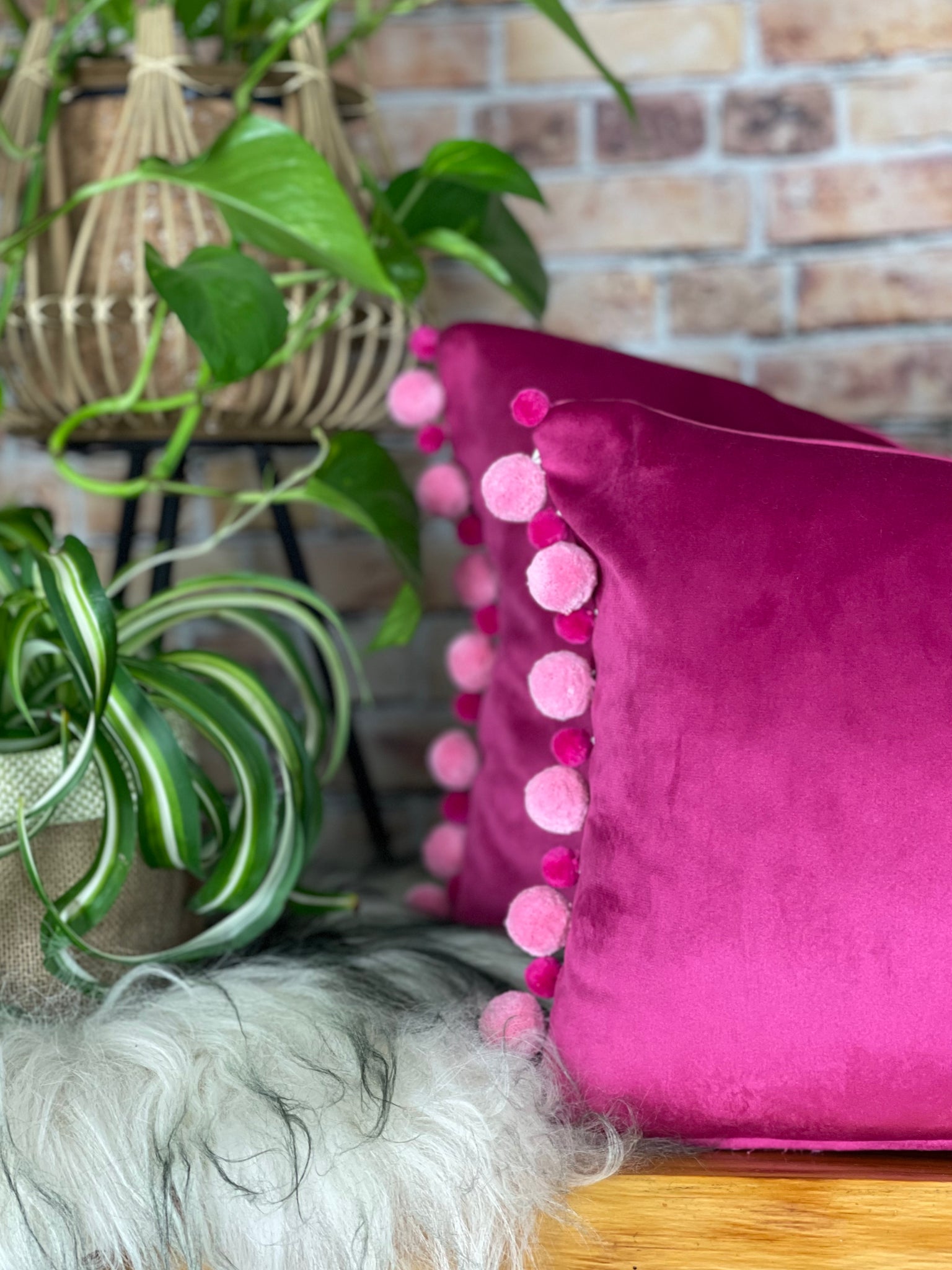 Pink pom 2025 pom cushion